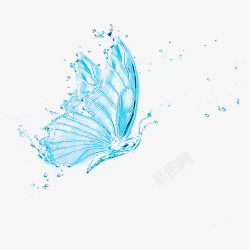 丰富的水唯美的水蝴蝶高清图片