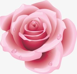 粉色玫瑰三联画展板素材