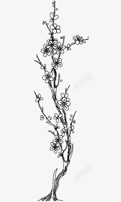 黑白花卉纹样一棵挺拔的梅花树简笔画高清图片
