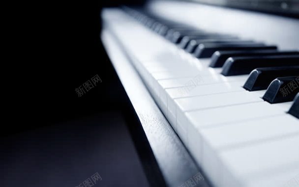 干净简约的钢琴键背景