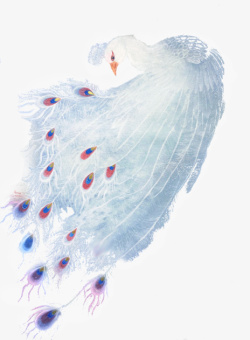 矢量孔雀图美丽的孔雀水彩图高清图片