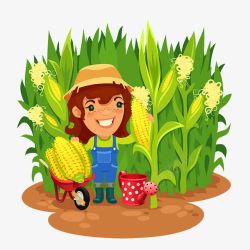 农田里农田里掰玉米的农村妇女高清图片