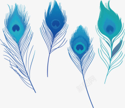 卡通孔雀蓝绿色美丽的羽毛高清图片