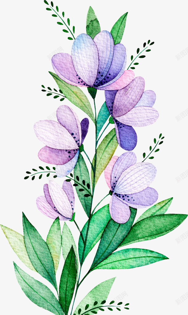 水彩紫色植物花卉png免抠素材_88icon https://88icon.com 包装设计 小清新包装 紫色花朵 花朵装饰 花草设计 贺卡设计