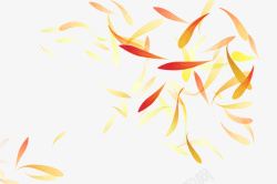 雏菊花壁纸飘落的花瓣装饰图高清图片