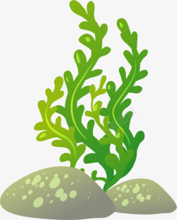 海洋植物世界海洋日绿色海藻高清图片