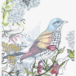 创意心形春天框手绘彩色花鸟插画矢量图高清图片