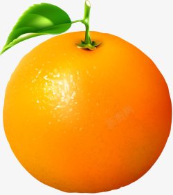 一个橙子一个橙子高清图片