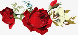 春暖花开红色玫瑰花素材