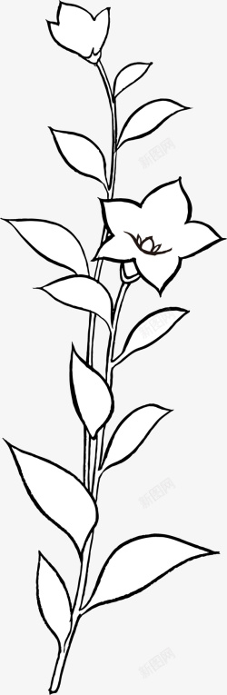 手绘装饰线植物简笔画图案矢量图素材