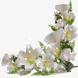 白色鲜花唯美花边边框素材