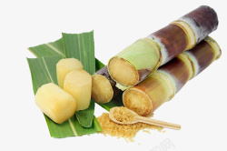 清香绿叶蔗糖与新鲜竹蔗高清图片