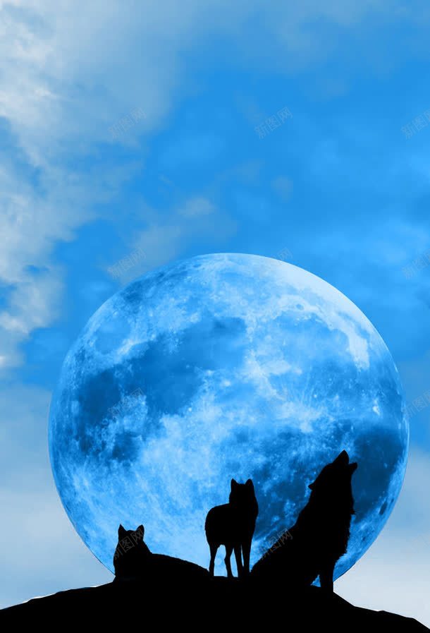 狼psd免抠素材_88icon https://88icon.com 动物 夜晚 头狼 月亮 蓝色