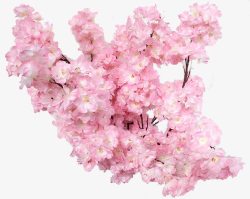 春天粉色树枝桃花素材