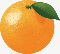 香甜橘子展板手绘美味水果橘子矢量图高清图片
