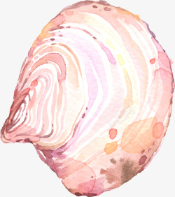 手绘水彩粉色贝壳素材