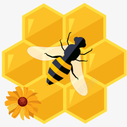 蜜蜂和蜂窝插画素材