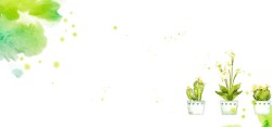 绿色仙人球水彩图案与盆里的花卉背景高清图片