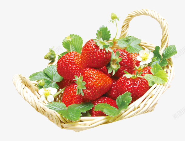 一篮子草莓png免抠素材_88icon https://88icon.com 水果 篮子 草莓 草莓花