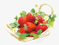 一篮子草莓素材