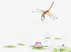 手绘水彩荷花塘蜻蜓装饰图案素材