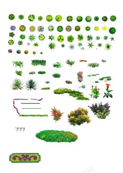 psd景观植物景观平面树图标高清图片