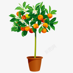 扁平绿色橘子树矢量图素材