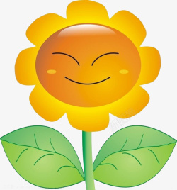 太阳花图片下载金葵花向日葵黄色花朵鲜花向阳花高清图片