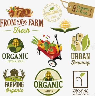 农产品宣传单农产品logo矢量图图标图标