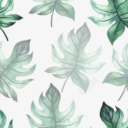 绿色叶子背景素材