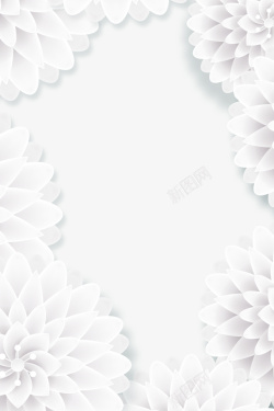 白色框架白色美丽花朵框架高清图片