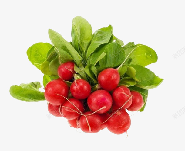 红心萝卜素菜摄影作品png免抠素材_88icon https://88icon.com 天然 樱桃萝卜 红心萝卜 绿色食品 萝卜 蔬菜