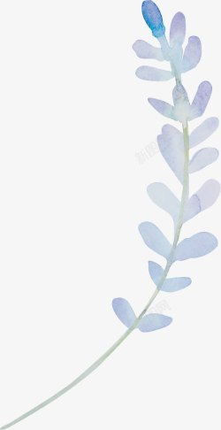 唯美森系花卉水彩唯美图标高清图片