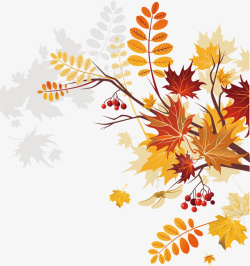 秋季花纹背景创意秋季植物高清图片