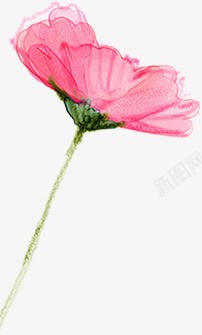 手绘粉色花朵创意背景png免抠素材_88icon https://88icon.com 创意 粉色 背景 花朵