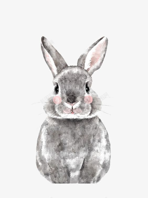 手绘动物png免抠素材_88icon https://88icon.com PPT 免扣PNG 创意灰兔 卡通兔子 手绘兔子 灰色兔子