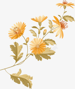 黄色菊花素材黄色秋季菊花矢量图高清图片