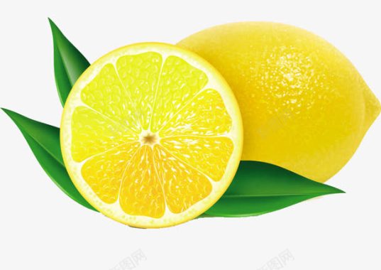柠檬手绘水果图标图标