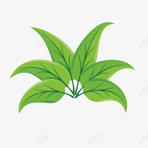 青草开花psd免抠素材_88icon https://88icon.com 大草 绿色春天 芒草 草丛 草草 青草