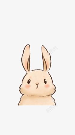 长耳朵长耳朵兔子高清图片