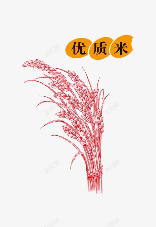 优质大米png免抠素材_88icon https://88icon.com 优质大米 手绘 手绘稻米 水稻