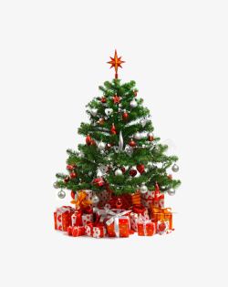 实物圣诞松枝圣诞圣诞树8高清图片