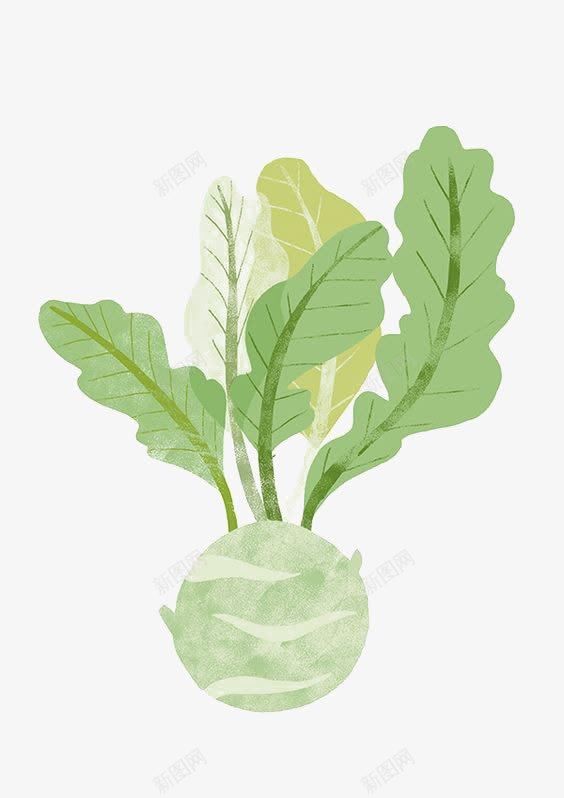 萝卜png免抠素材_88icon https://88icon.com 创意蔬菜 小萝卜 手绘叶片 植物 水彩叶片 绿色叶子 绿色叶片