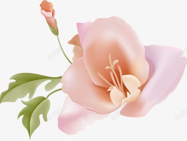 粉色花卉名片模板png免抠素材_88icon https://88icon.com 名片 模板 粉色 花卉