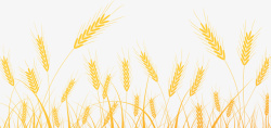 麦粒手绘麦田里的小麦高清图片