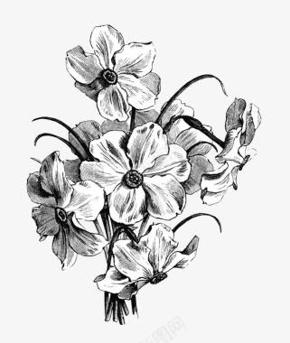 黑白手绘黑白线条花卉图标图标