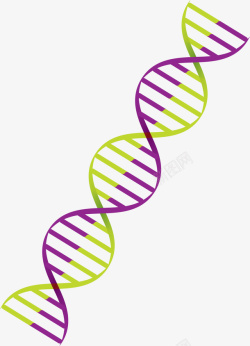 缠绕紫绿色卡通风格DNA矢量图素材