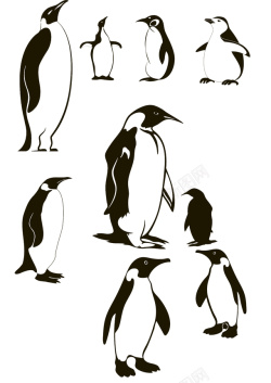 进口画芯黑白企鹅元素高清图片