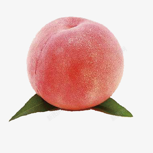 水蜜桃简图png免抠素材_88icon https://88icon.com 叶子 好吃的 桃子 水果 水蜜桃 白桃 粉色的 美味的