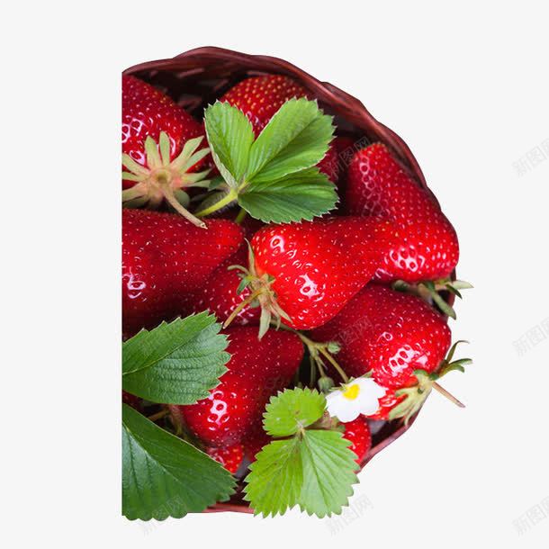 一筐草莓png免抠素材_88icon https://88icon.com 一筐草莓 水果 草莓